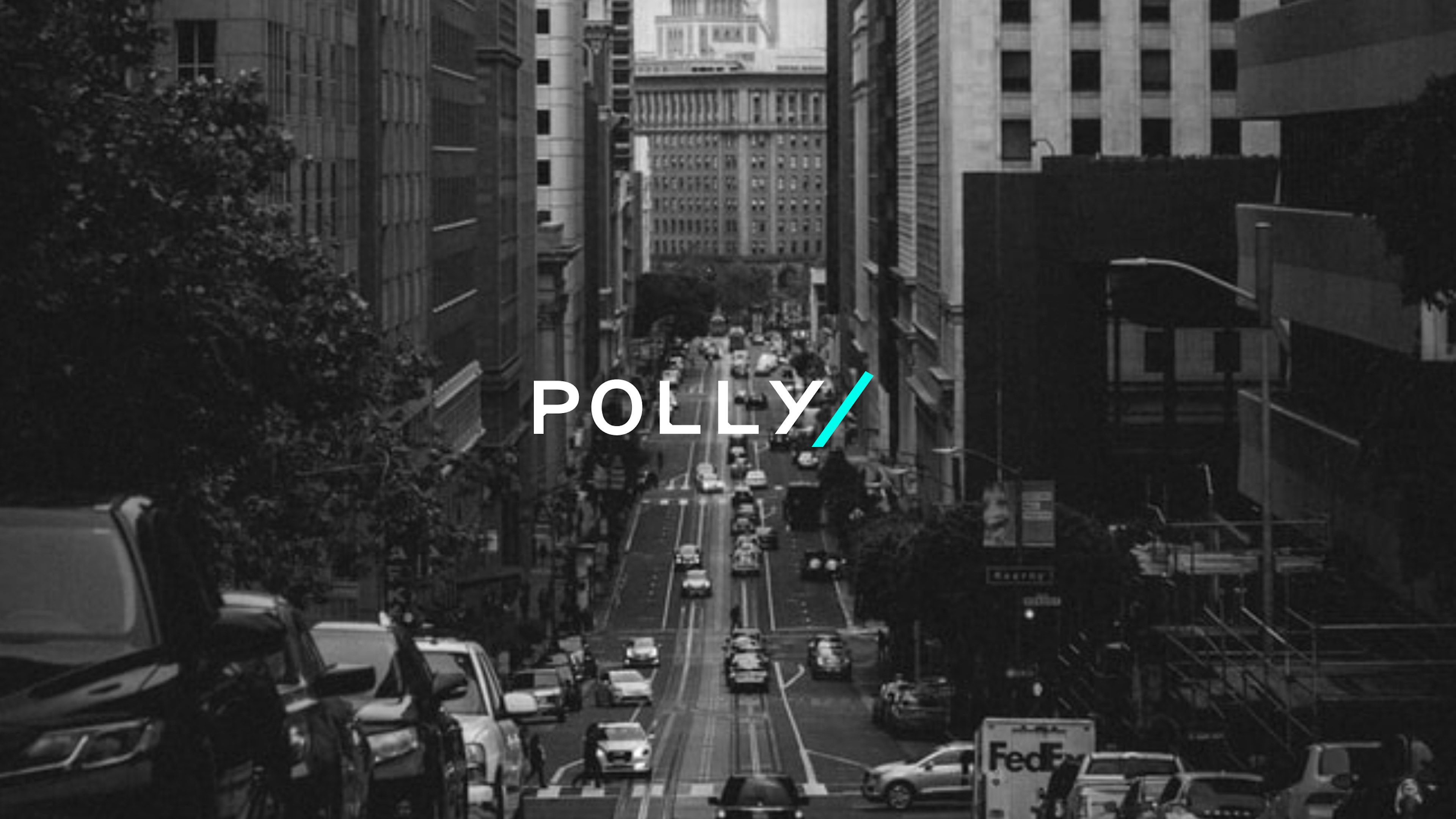 Polly logo landscape