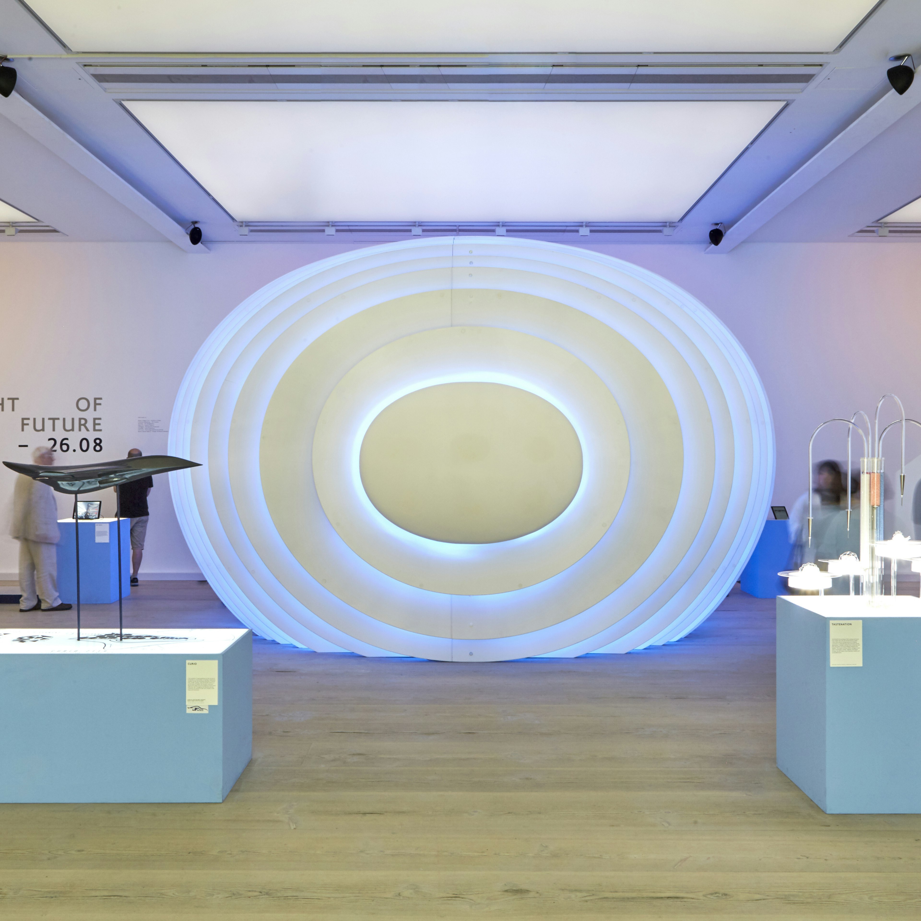 Saatchi ExhibitRoom Egg